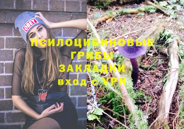 ешки Алексеевка